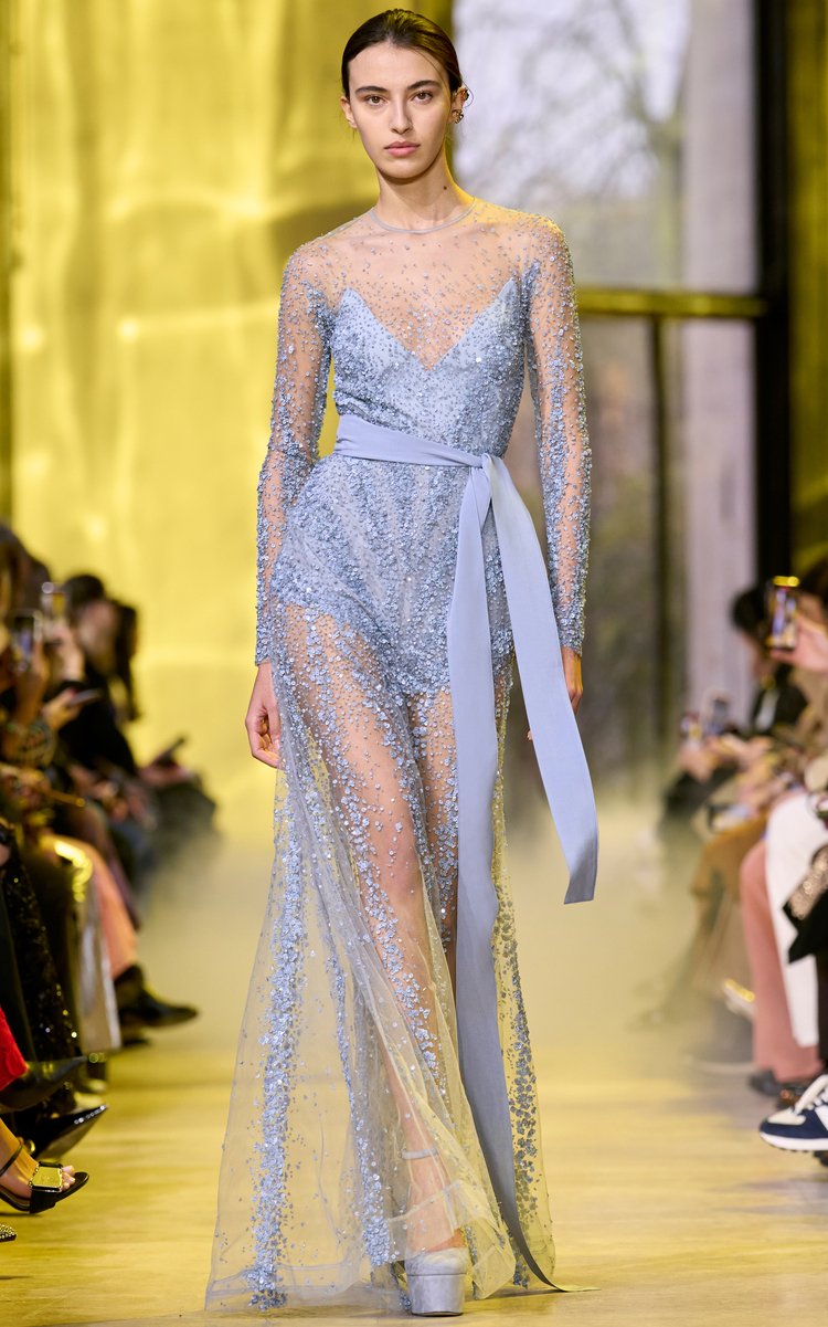 elie saab dresses